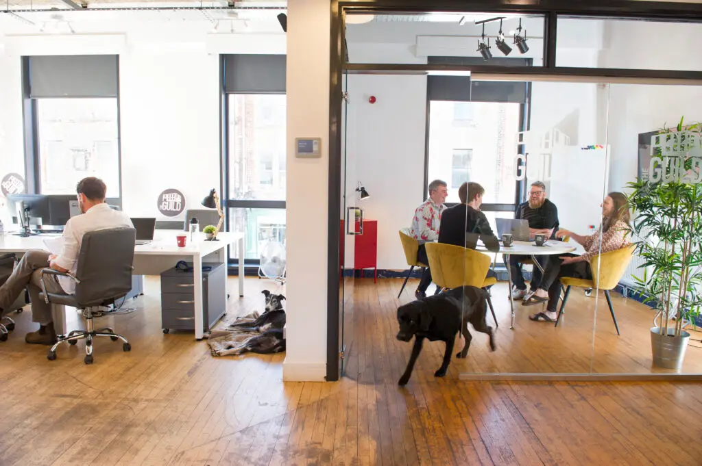 Members and their dogs in the upstairs coworking area.
